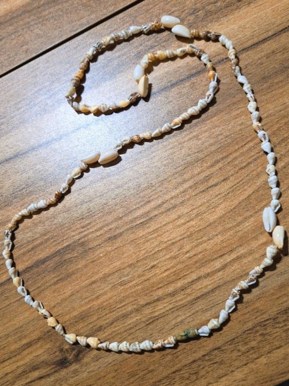 Natural Cowrie Sea Shells Necklace